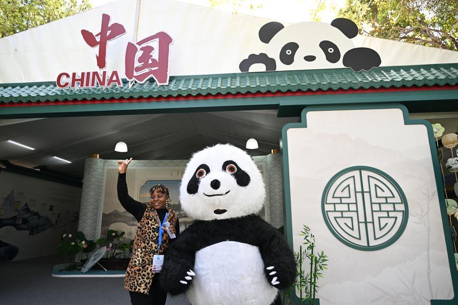 202601317c740ba900dd454ab6ac96096d6df830 XxjifrF000032 20260131 CBMFN0A003