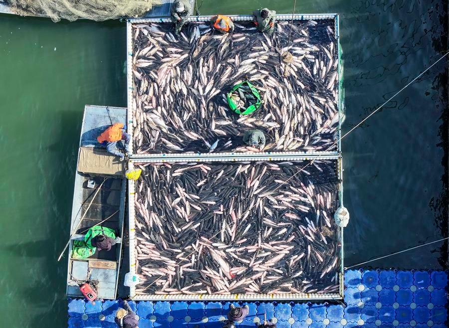 20260201c71bbfa8bb3947dea92d08626916d272 XxjwsfF000006 20260201 CBMFN0A004