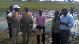 C&ocirc;te d&rsquo;Ivoire : L&rsquo;ANADER veut r&eacute;aliser une unit&eacute; de production d&rsquo;engrais,  bient&ocirc;t la production de semences de riz par &agrave; Grand-Lahou