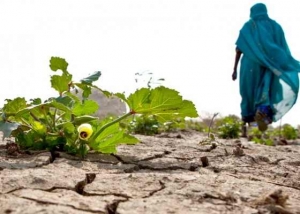 COP21 : Ce que l&rsquo;Afrique attend de l&rsquo;accord global sur le climat