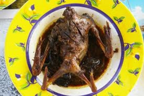 C&ocirc;te d'Ivoire-Menace Ebola: Des chauves souris dans les assiettes &agrave; Gagnoa