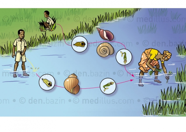 C&ocirc;te d&rsquo;Ivoire : Traitement gratuit contre la bilharziose pour des &eacute;l&egrave;ves