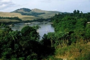 Op&eacute;ration "Je plante un arbre pour une C&ocirc;te d&rsquo;Ivoire plus verte": Soutien affirm&eacute; de la FAO