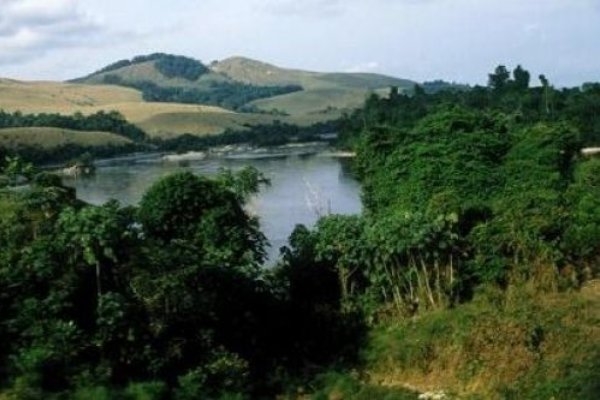 Op&eacute;ration "Je plante un arbre pour une C&ocirc;te d&rsquo;Ivoire plus verte": Soutien affirm&eacute; de la FAO