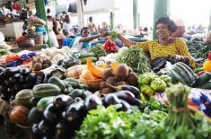 C&ocirc;te d'Ivoire/  Autosuffisance alimentaire: Des projets concrets pour booster la production locale