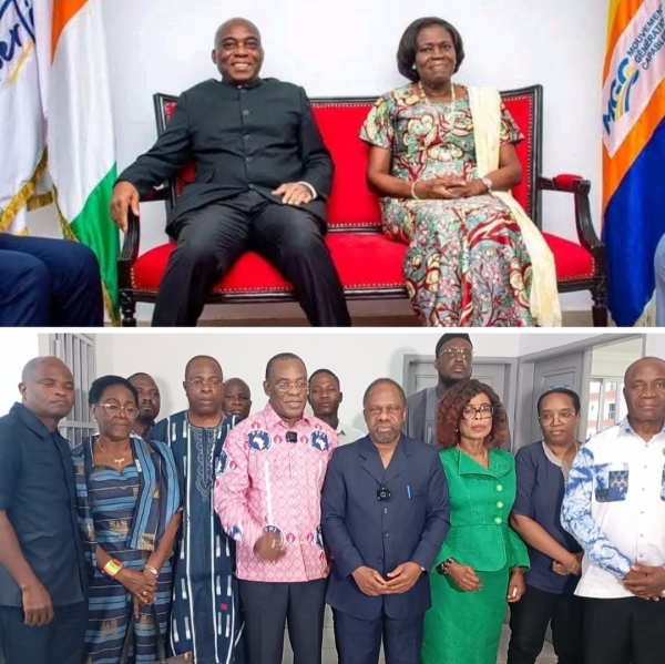 C&ocirc;te d&rsquo;Ivoire : Don Mello contre Affi N&rsquo;guessan : le chass&eacute;-crois&eacute; de la gauche ivoirienne