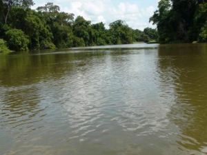 C&ocirc;te d&rsquo;Ivoire : Des eaux us&eacute;es d&rsquo;une usine droit dans le fleuve Bandama