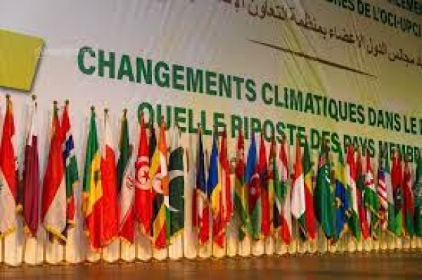 18e session de l&rsquo;UPCI : D&eacute;claration d&rsquo;Abidjan sur le changement climatique