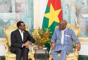 Adesina (Pdt BAD) : Il faut transformer le Sahel gr&acirc;ce aux immenses ressources d&rsquo;&eacute;nergie solaire