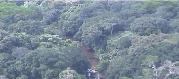 Urgent : un chef traditionnel enlev&eacute; par des inconnus arm&eacute;s dans le sud-ouest ivoirien