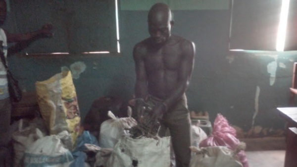 C&ocirc;te d&rsquo;Ivoire : Un individu arr&ecirc;t&eacute; avec plus d&rsquo;une centaine de kilogrammes de cannabis &agrave; Prikro