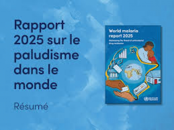 Paludisme : 270,8 millions de cas et pr&egrave;s de 600 000 d&eacute;c&egrave;s(Rapport 2025)