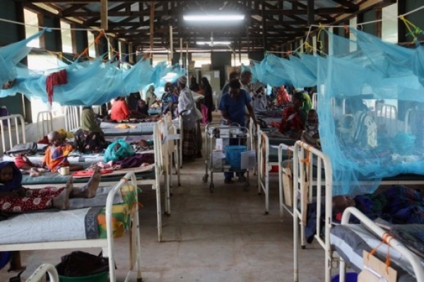 Sant&eacute; : Promouvoir des solutions africaines pour les populations africaines