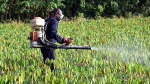 C&ocirc;te d&rsquo;Ivoire-Gestion des pesticides obsol&egrave;tes : Enseignants et chercheurs instruits sur le projet PROGEPC