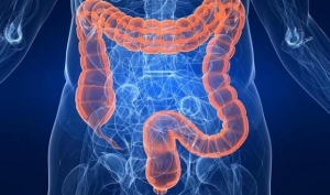 Sant&eacute;: 80 % des Ivoiriens souffrent de la colopathie fonctionnelle