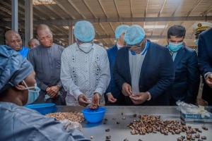 C&ocirc;te d'Ivoire/Transformation de l&rsquo;anacarde : Beugr&eacute; Mamb&eacute; salue le d&eacute;veloppement de la fili&egrave;re