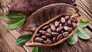 Le leader mondial du chocolat s&rsquo;engage &agrave; une meilleure transformation du cacao ivoirien