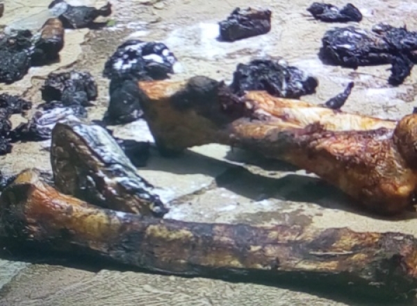 Des morceaux de chaire et des os brais&eacute;s de l'&eacute;l&eacute;phanteau abattu et consomm&eacute; &agrave; Ferkess&eacute;dougou