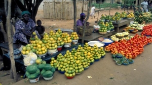 Lutte contre la chert&eacute; de la vie : le pr&eacute;sident du Club &laquo; Les Amis de la Paix &raquo; f&eacute;licite Alassane Ouattara pour ses grandes d&eacute;cisions