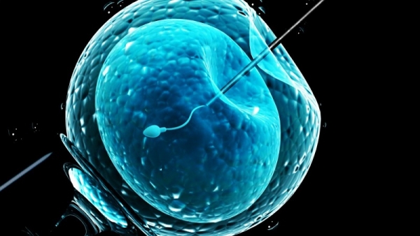 La procr&eacute;ation assist&eacute;e progresse en C&ocirc;te d'Ivoire