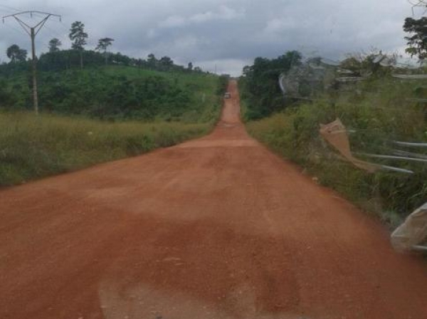 C&ocirc;te d&rsquo;Ivoire : Plus de 33 millions emport&eacute;s par des coupeurs de route sur l&rsquo;axe Bouna-fronti&egrave;re Ghana