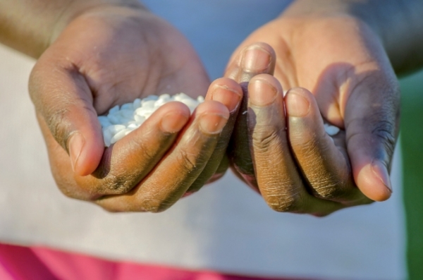 Ins&eacute;curit&eacute; alimentaire en Afrique subsaharienne : Le rapport de la FAO mardi &agrave; Accra