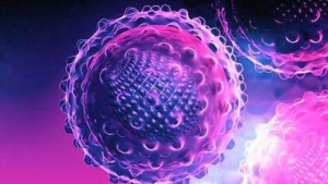 Sant&eacute; : Des millions de personnes porteuses des h&eacute;patites sans le savoir (OMS)