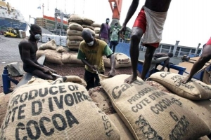 C&ocirc;te d&rsquo;Ivoire-commercialisation du cacao: une am&eacute;lioration substantielle des exportations au niveau des ports de 33%, selon le gouvernement