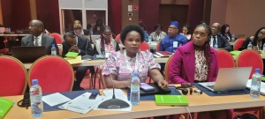 Progr&egrave;s, d&eacute;fis et le&ccedil;ons de l'engagement du secteur priv&eacute; dans la sant&eacute; en Afrique : Une analyse du Dr Emie Chirwa du Malawi