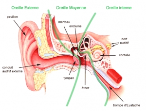 C&ocirc;te d&rsquo;Ivoire : Lancement d'un projet d&rsquo;int&eacute;gration des enfants sourds dans les &eacute;coles ordinaires