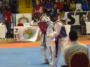 Taekwondo : La C&ocirc;te d&rsquo;ivoire d&eacute;croche trois places pour les JO de RIO