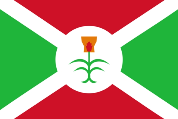 Coup d'Etat en cours au Burundi : Un g&eacute;n&eacute;ral de l&rsquo;arm&eacute;e annonce la destitution de Pierre Nkurunziza