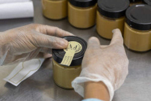 Maroc : Maison Malake, la coop&eacute;rative sociale qui r&eacute;volutionne la noix de cajou