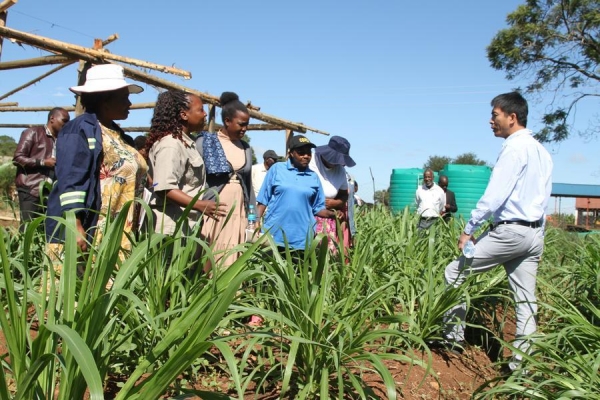 Xiplomatie : une lettre de Xi Jinping &agrave; d'anciens combattants zimbabw&eacute;ens refl&egrave;te une amiti&eacute; sino-africaine durable