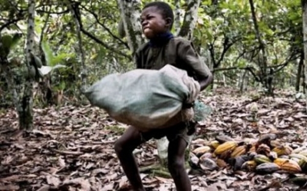 Lutte contre le travail des enfants : le BIT &eacute;quipe les unit&eacute;s op&eacute;rationnelles de Soubr&eacute;