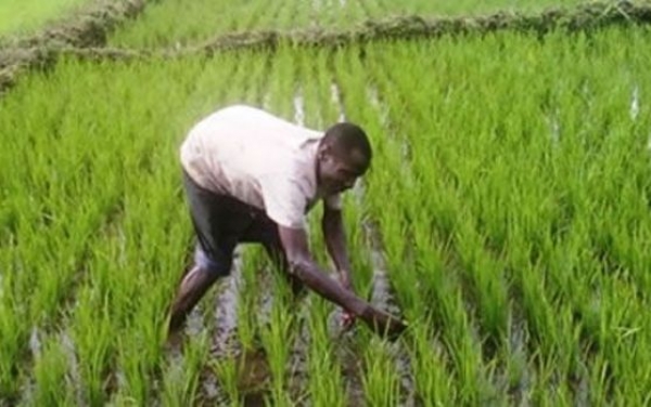 S&eacute;curit&eacute; alimentaire et commerce r&eacute;gional en Afrique de l&rsquo;Ouest : Borderless ouvre le d&eacute;bat &agrave; Abidjan