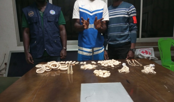 C&ocirc;te d&rsquo;Ivoire : 4 redoutables trafiquants sp&eacute;cialis&eacute;s dans le commerce ill&eacute;gal d&rsquo;ivoires sculpt&eacute;s mis aux arr&ecirc;ts &agrave; Abidjan