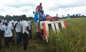 La C&ocirc;te d&rsquo;Ivoire &agrave; l'&eacute;cole chinoise pour son autosuffisance en riz